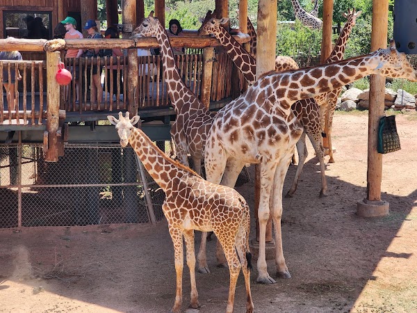 Cheyenne Mountain Zoo 4