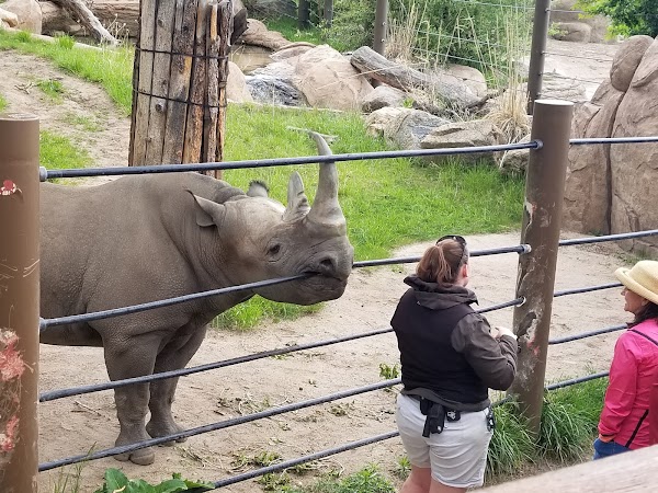 Cheyenne Mountain Zoo 2
