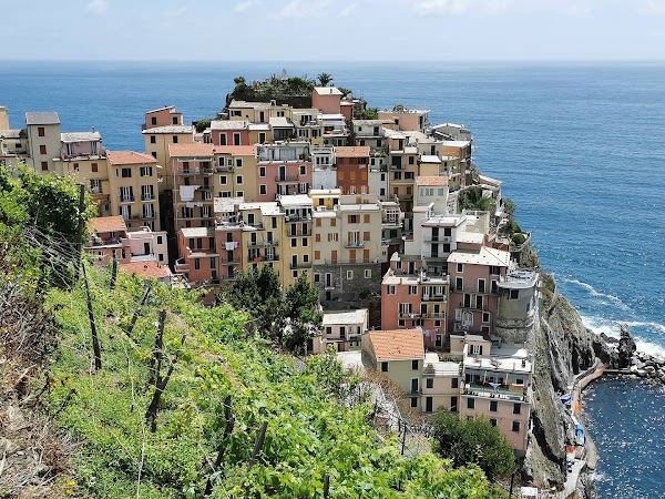 Manarola 2