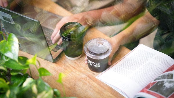 Primal Brew Coffee + Roastery 5