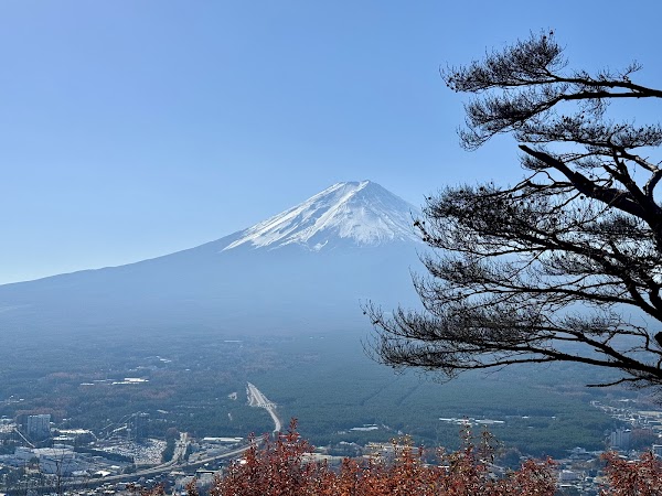 Kawaguchiko Tenjoyama Park 3