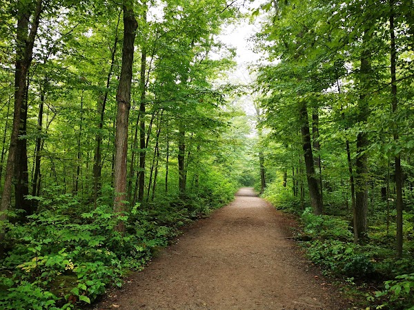 Hilton Falls Conservation Area 4