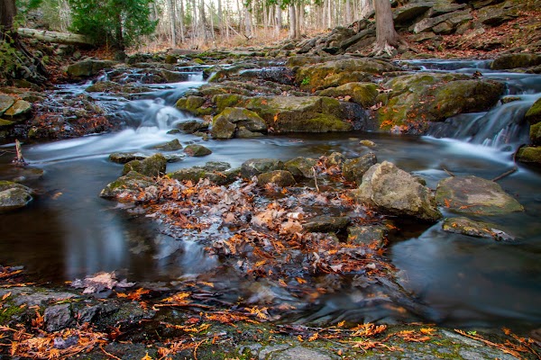 Hilton Falls Conservation Area 3
