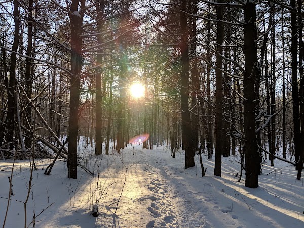 Hilton Falls Conservation Area 2
