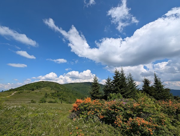 Appalachian National Scenic Trail 1