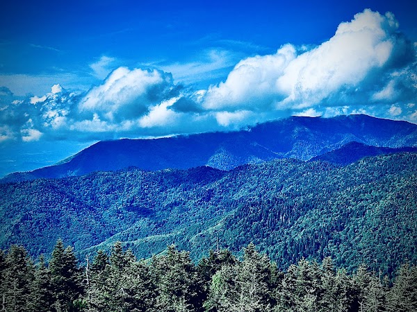 Appalachian National Scenic Trail 3