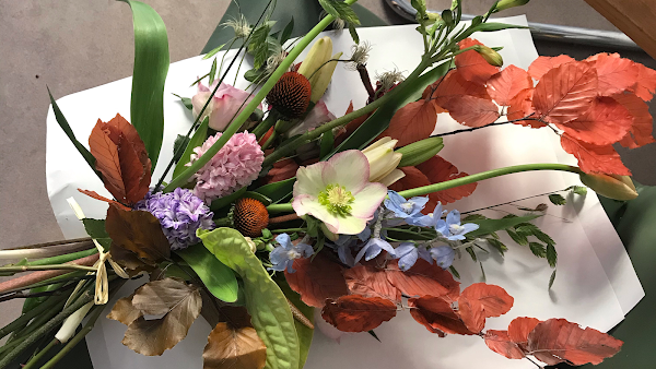 Ammano Fiori Studio 1