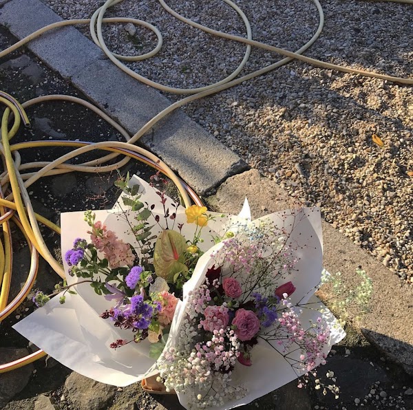 Ammano Fiori Studio 5