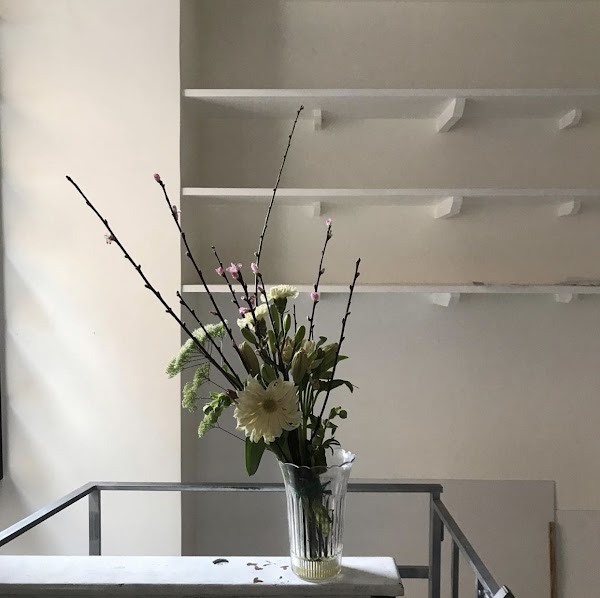 Ammano Fiori Studio 4