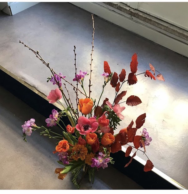 Ammano Fiori Studio 3