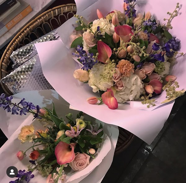 Ammano Fiori Studio 2