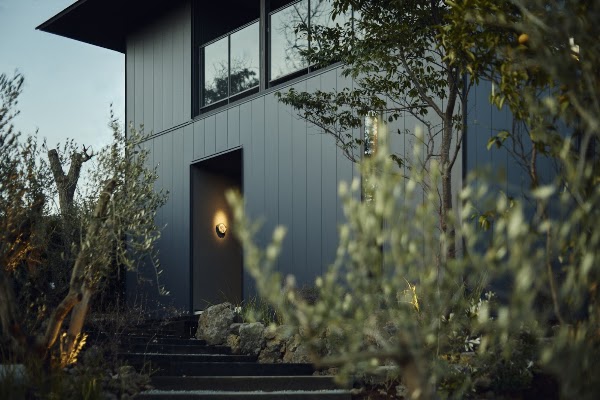 Hiire IZU OLIVE