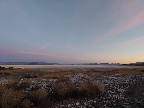 Zzyzx Spring 1