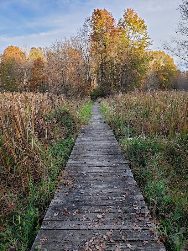 Great Swamp National Wildlife Refuge 1