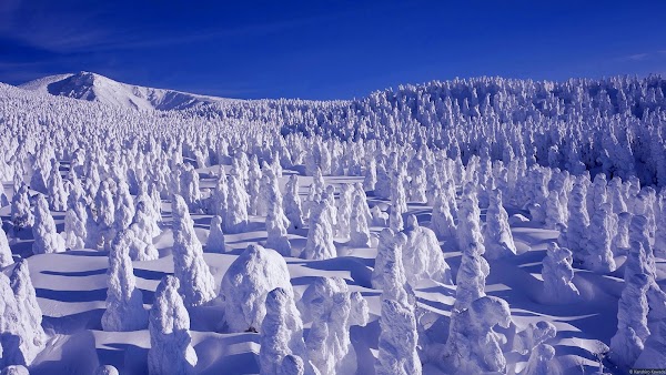 Mount Zaō 4
