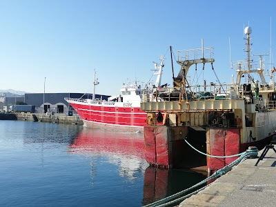 Vigo