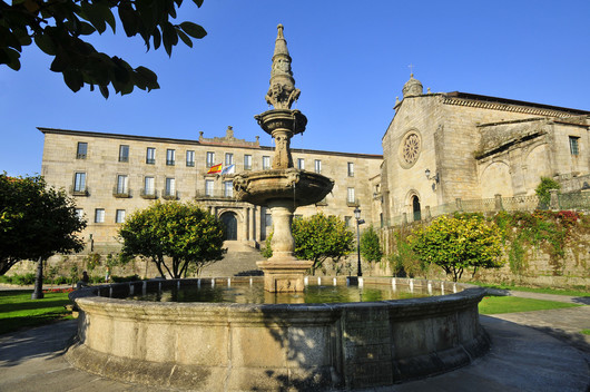 Vigo 4