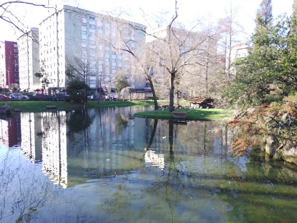 Vigo 3
