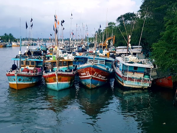 Negombo Lagoon