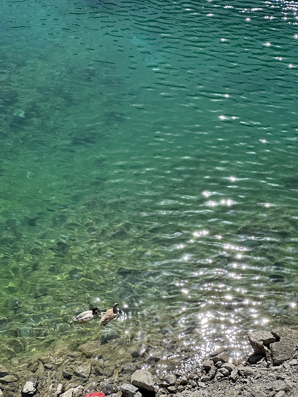 Icelandic Lake Masafi 3