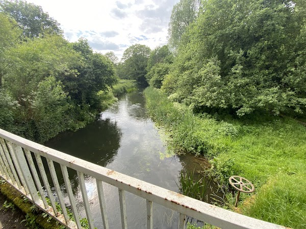 River Stour 5