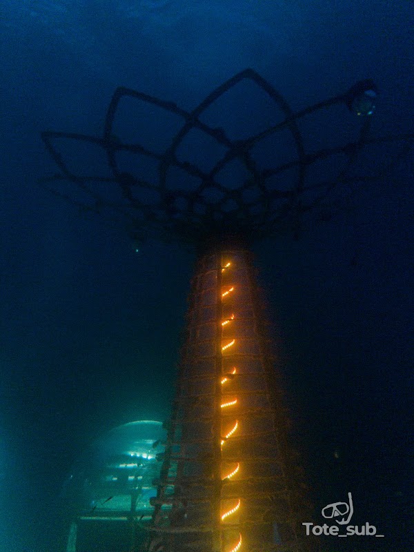 Nemo's garden