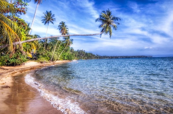 Thailand must visit 2026 49