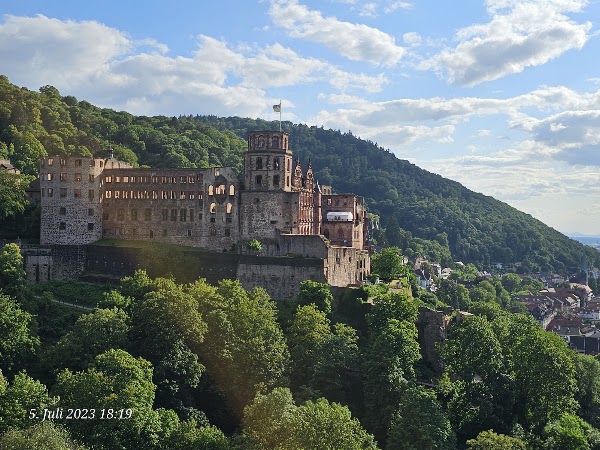 Heidelberg Palace 5