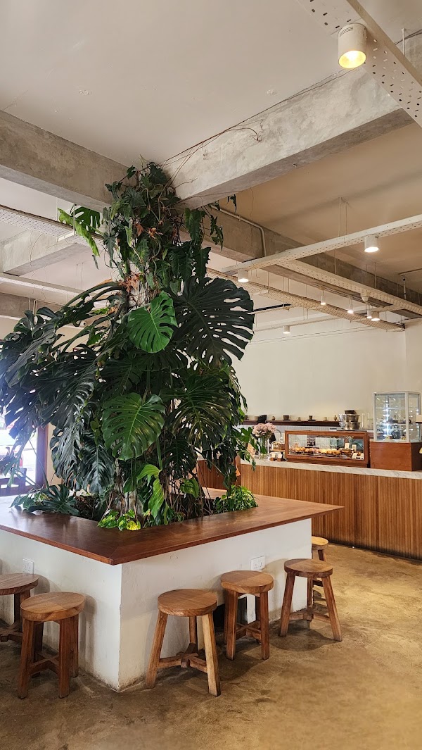 Hoods Coffee 5