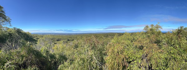 Boranup Forest 2