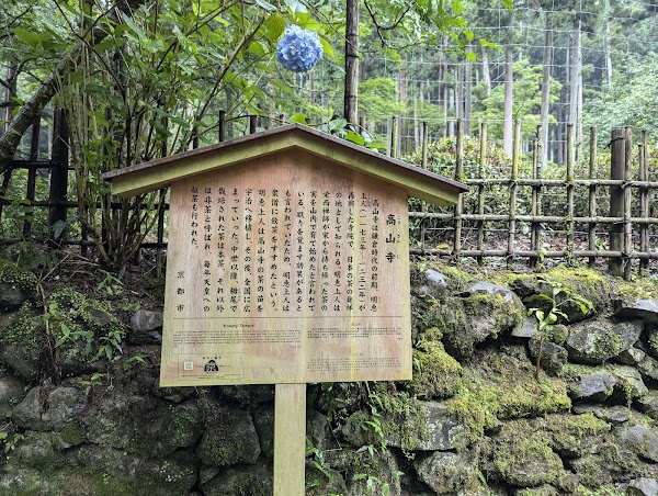 Oldest Tea Plantation in Japan 3
