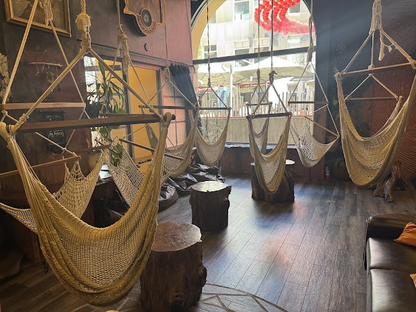 Roxa Hammock Cafe 2