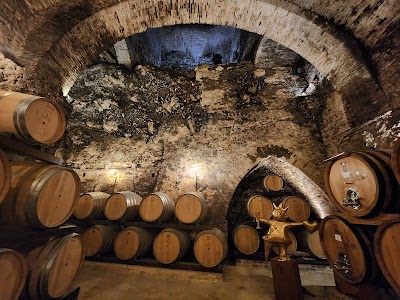 De' Ricci Cantine Storiche in Montepulciano