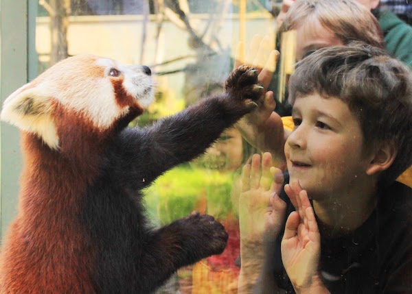 Sequoia Park Zoo