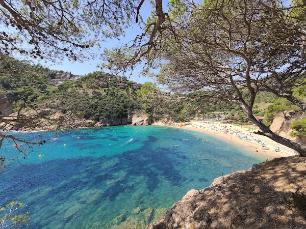 Cala Giverola 4