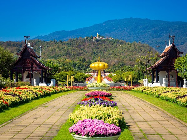Royal Park Rajapruek 5
