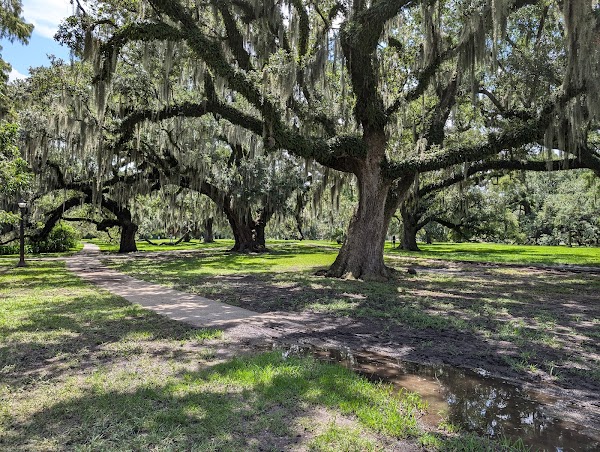 New Orleans City Park 1