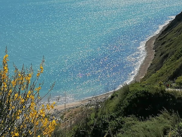 Le Marche  8