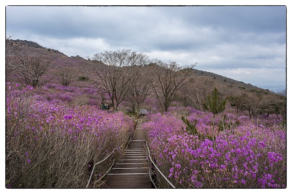 Biseulsan Natural Recreation Forest 1