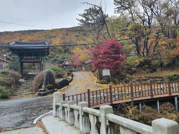 Biseulsan Natural Recreation Forest 2