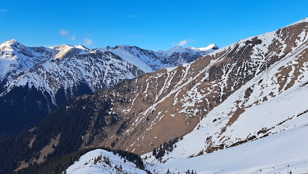 Piscu-Negru 1