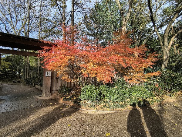 Jardin Compans Caffarelli 2