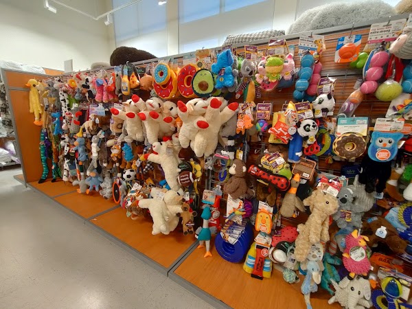 T.J. Maxx 4