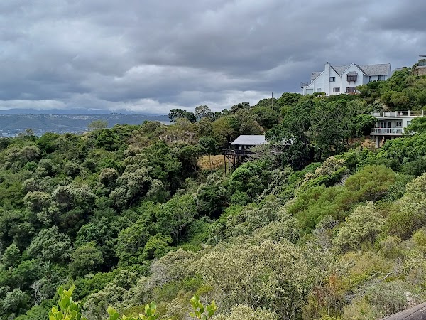 Featherbed Nature Reserve 1