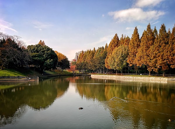 Satake Park 1