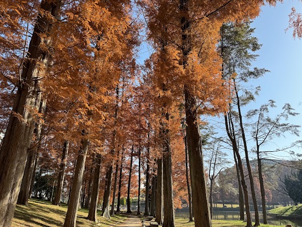 Satake Park 4