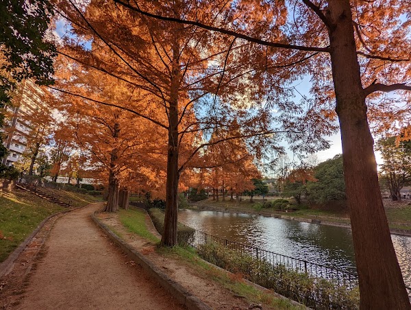 Satake Park 3