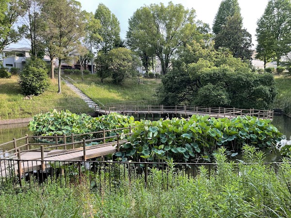 Satake Park 2