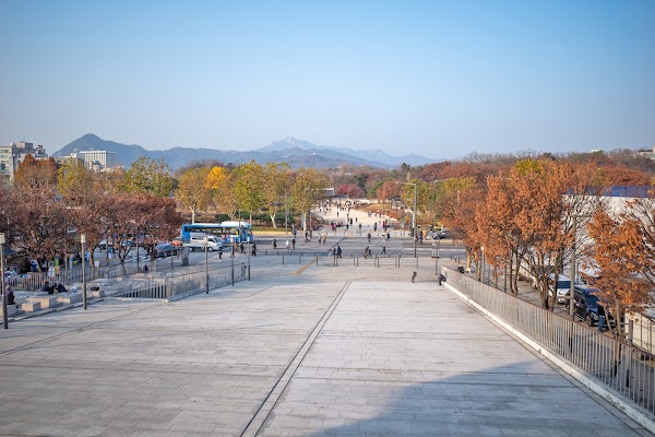 세운광장 5