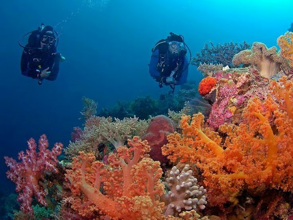 Wakatobi Regency